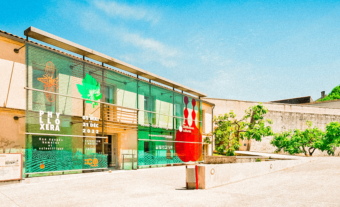 Patrimoine & culture : expo sur le « Phylloxéra » à Cognac
