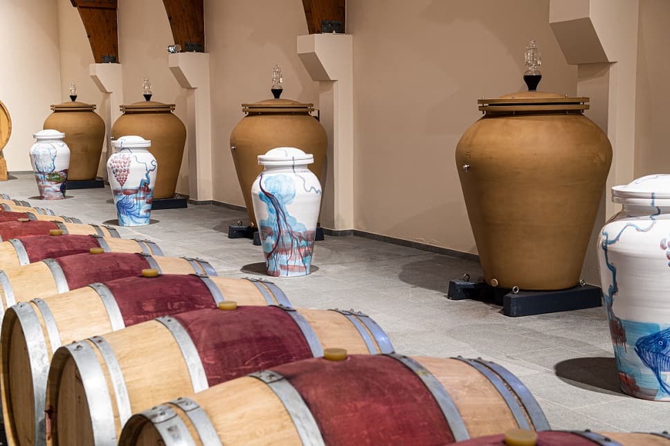 Un château du vignoble bordelais expose les « Chroniques du vivant »
