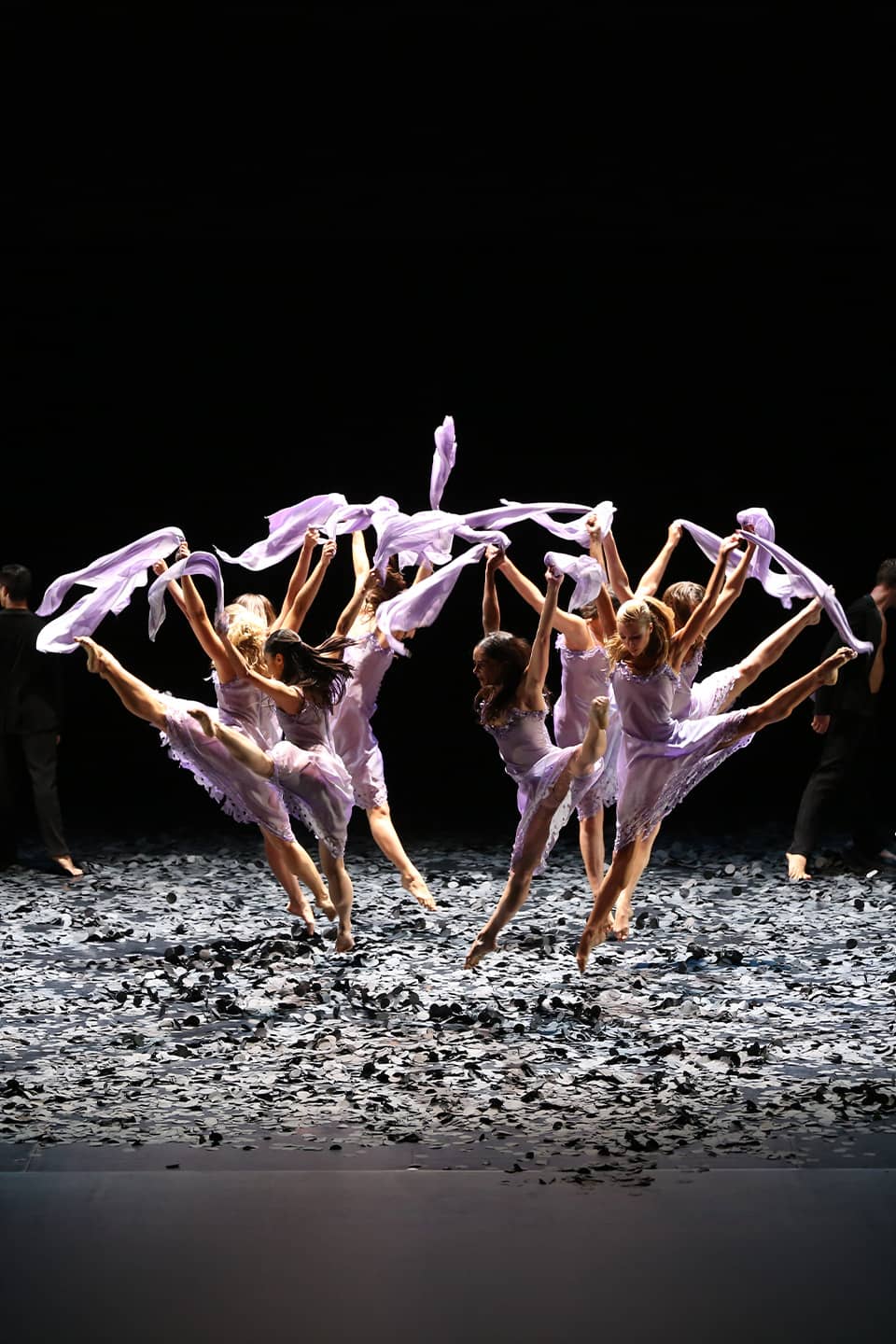 Malandain Ballet Biarritz : L'Amour sorcier / Don Quichotte